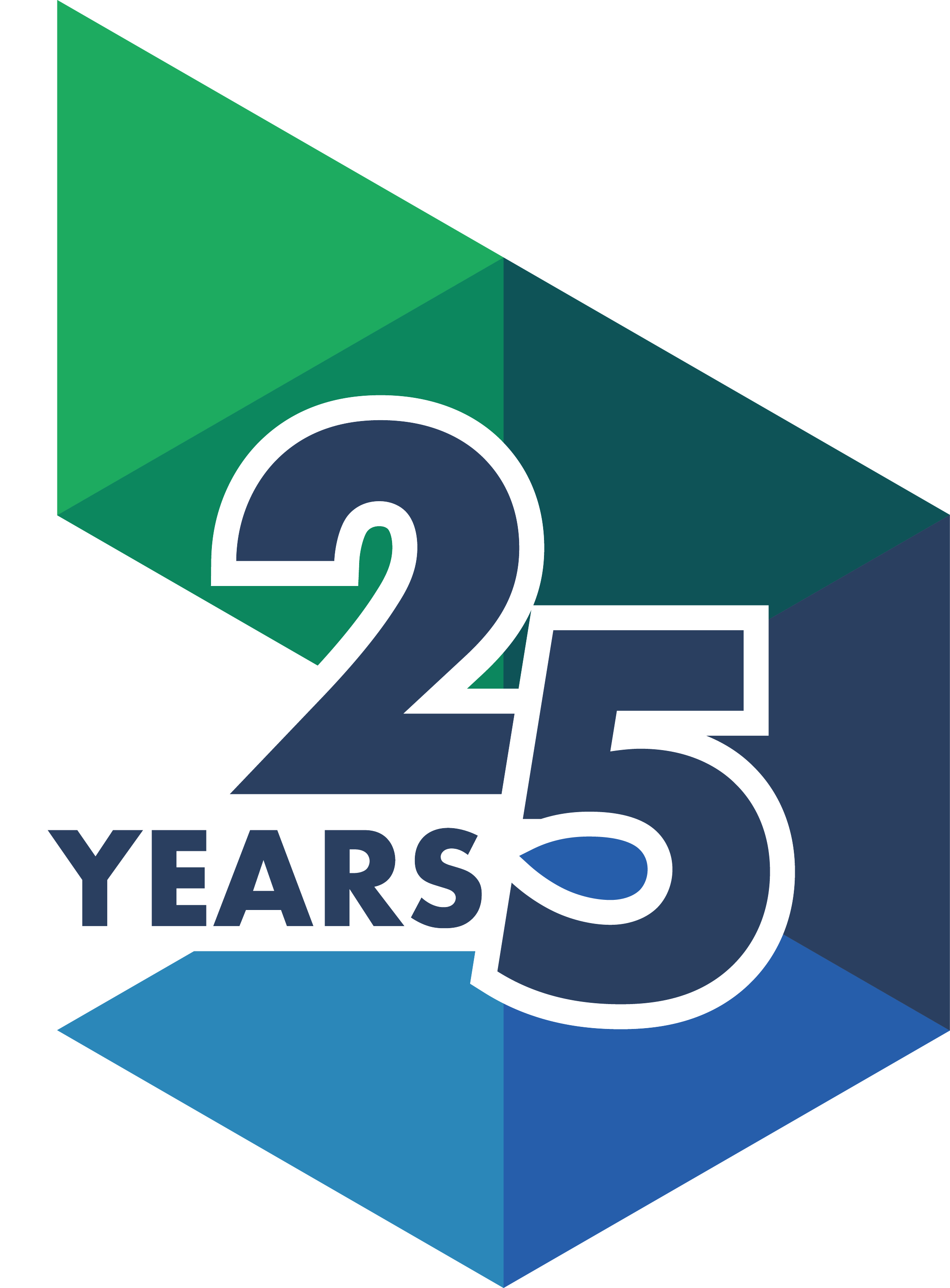 GoCary 25 Year Logo